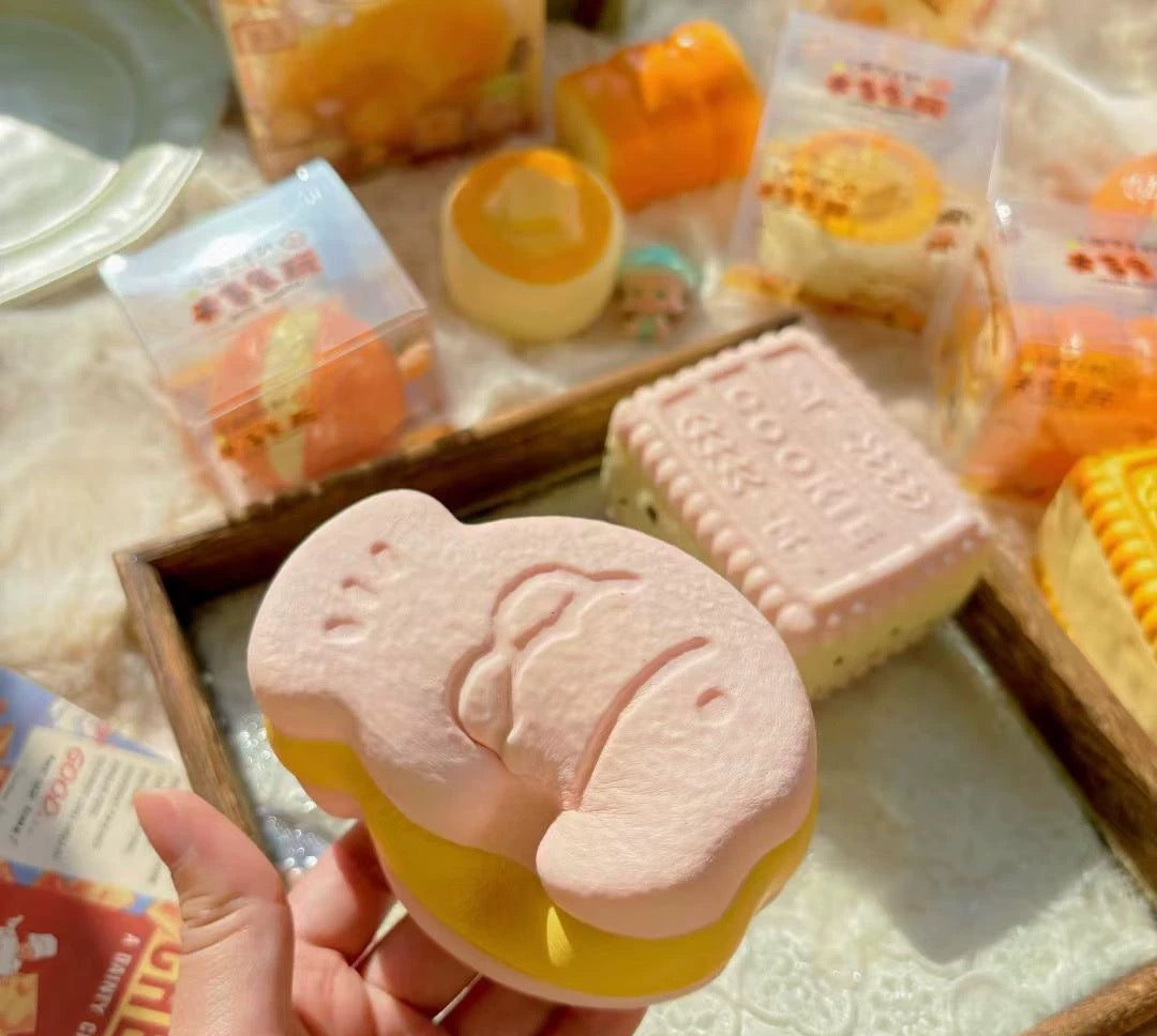Moozy biscuits and fishes cakes squishy
