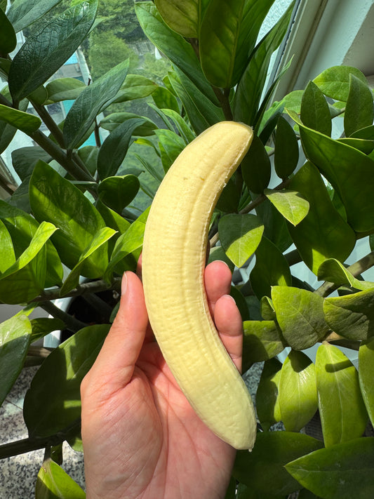 Banana squishy slow rising/ slow rebound